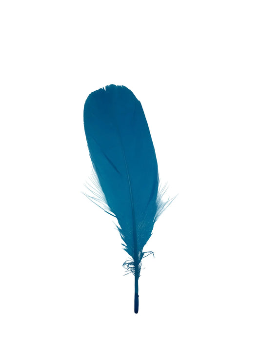 Ganso nagoire 12-15cm turquesa