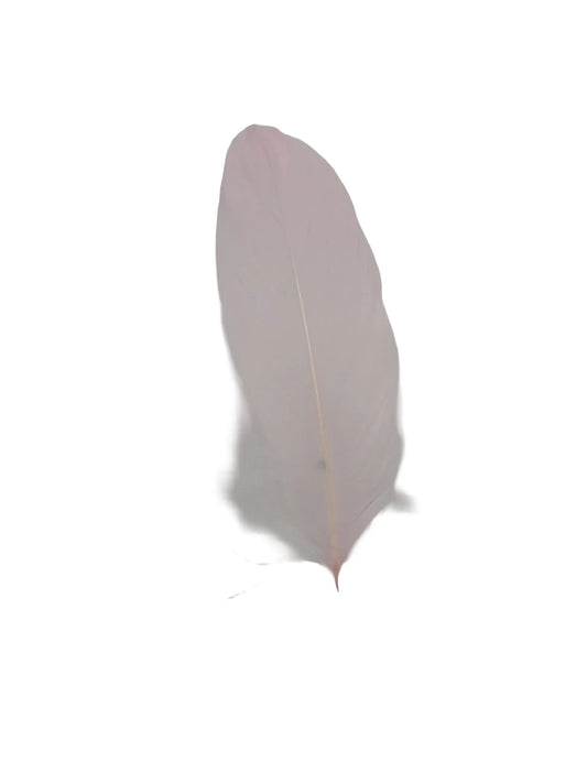 Ganso nagoire 12-15cm rosa claro