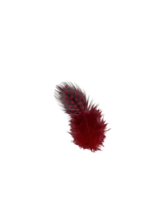 Gallina de guinea 5-10cm rojo tomate