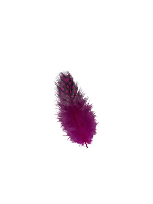 Gallina de guinea 5-10cm fucsia