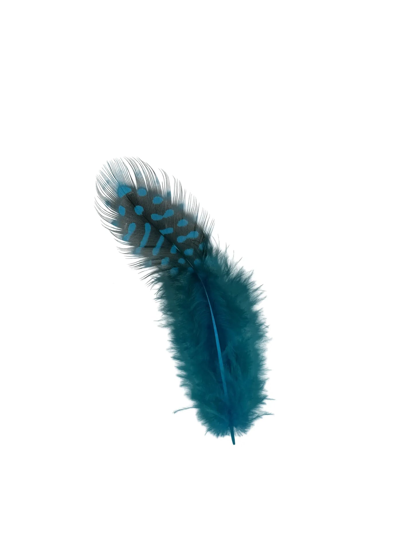 Pintade 5-10cm turquoise