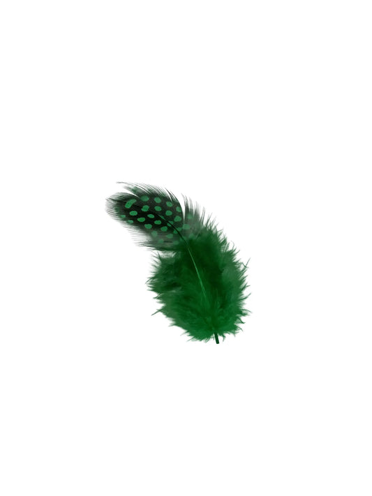 Gallina de guinea 5-10cm verde