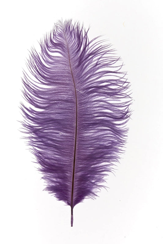 Drabs 30-35cm violeta