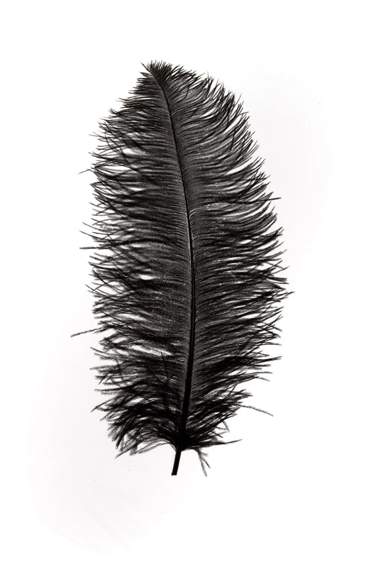 Sederia 66cm negro