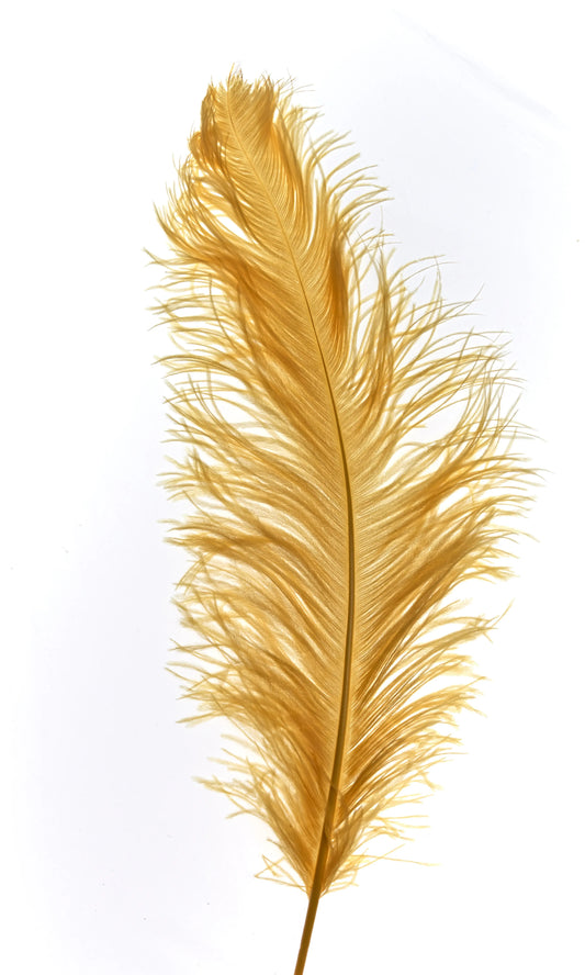 Sederia 66cm amarillo pastel