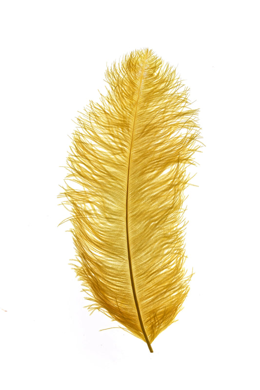 Sederia 66cm amarillo