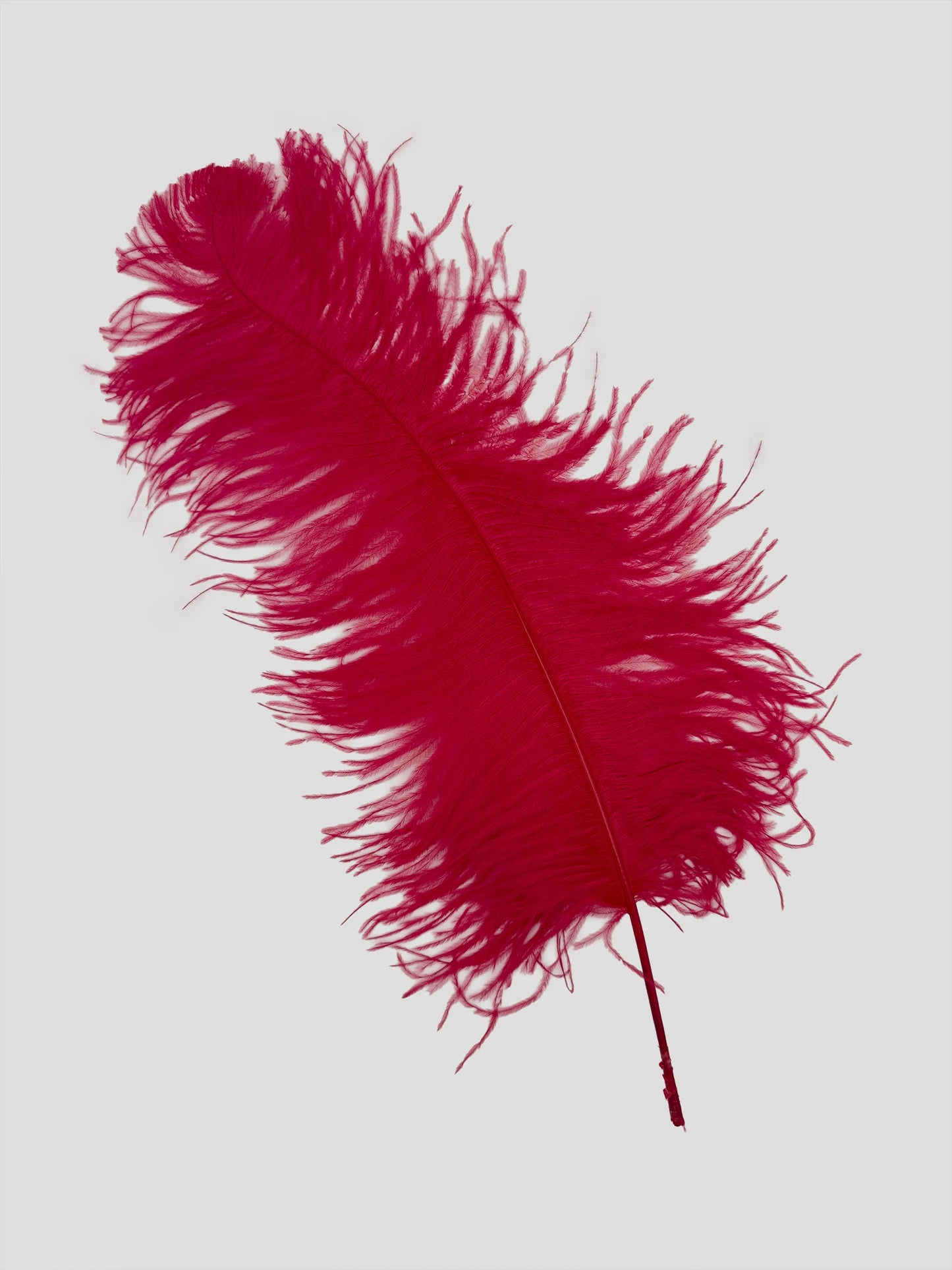 Sederia 66cm rosso pomodoro