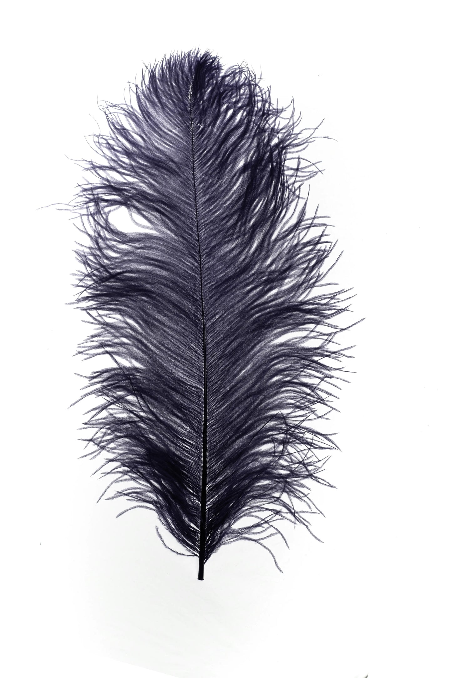 Sederia 66cm aubergine