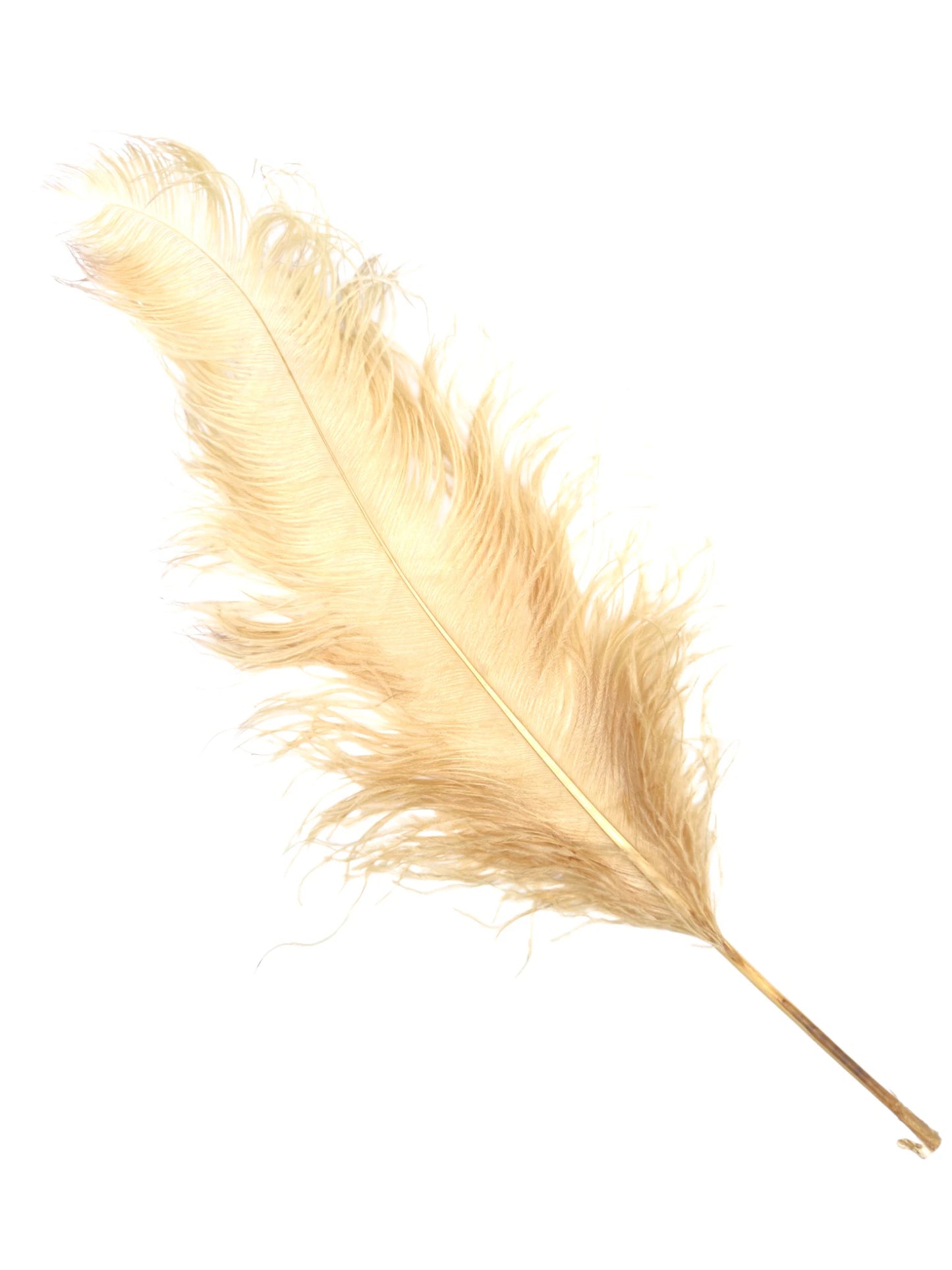 Sederia 66cm ecru