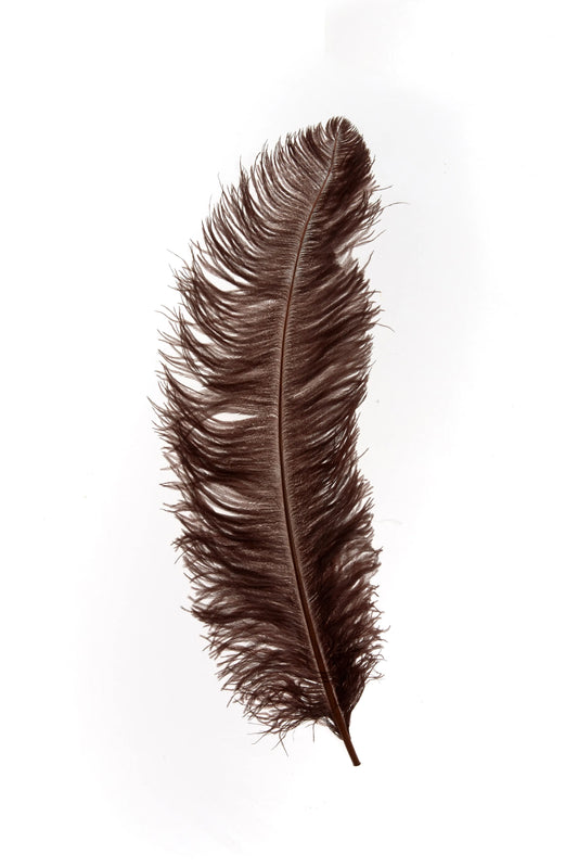 Sederia 66cm chocolate