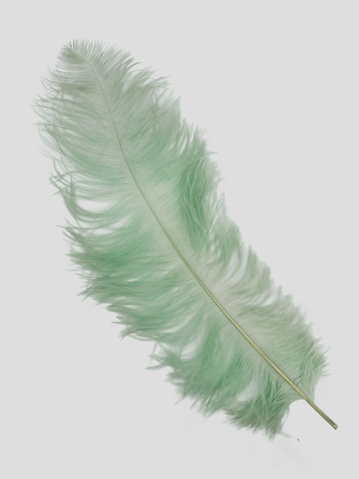 Sederia 66cm pistache