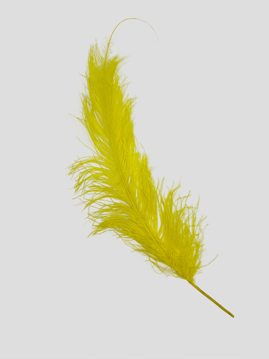 Spadona 66cm paasgeel