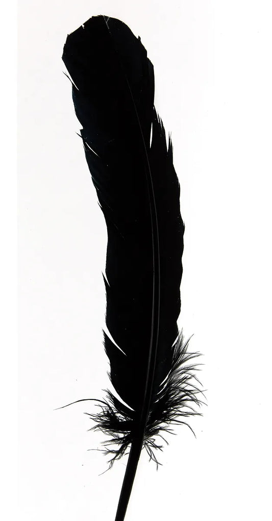 Plumas de ganso 25-30cm negro