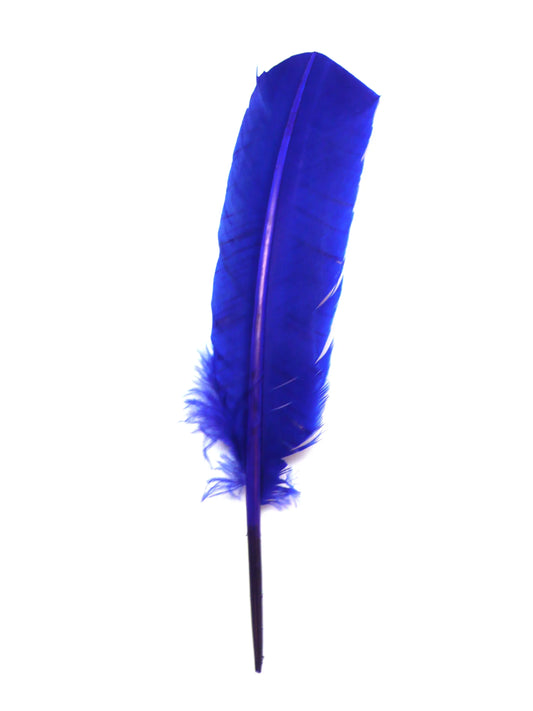 Plumas de ganso 25-30cm mezcla