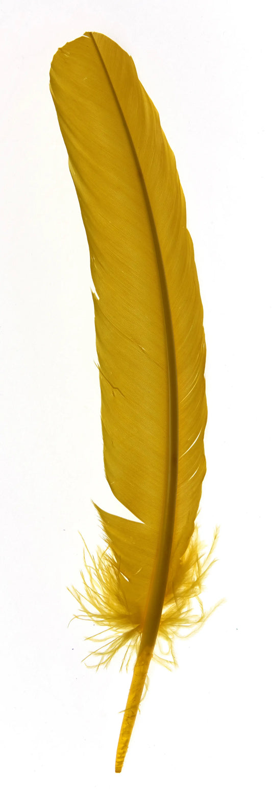 Plumas de ganso 25-30cm amarillo de Pascua
