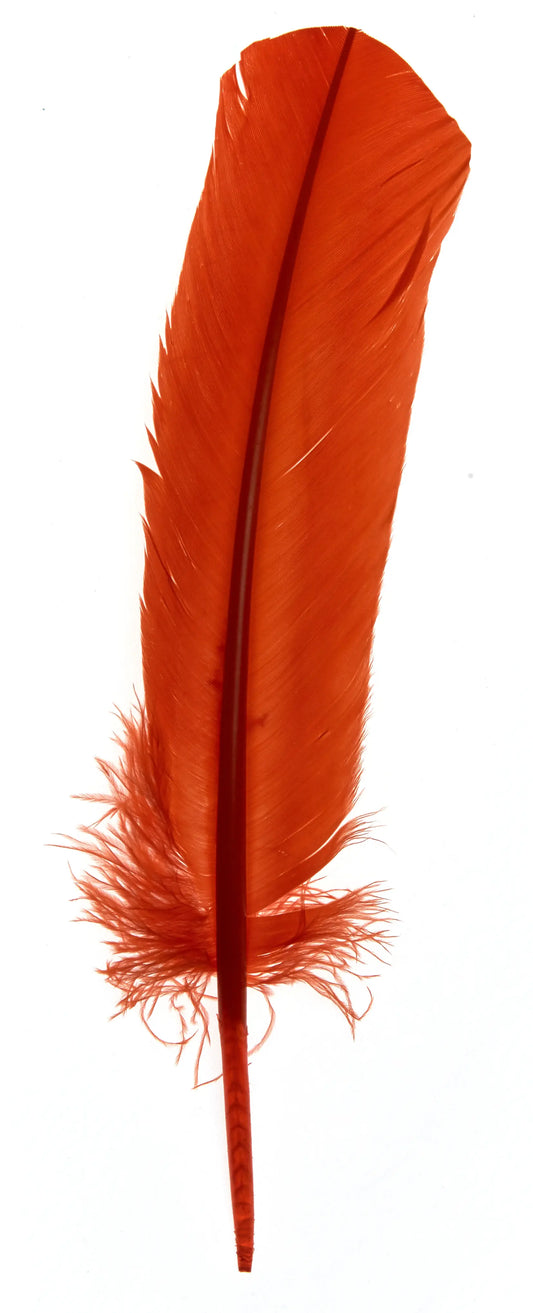 Plumas de ganso 25-30cm naranja
