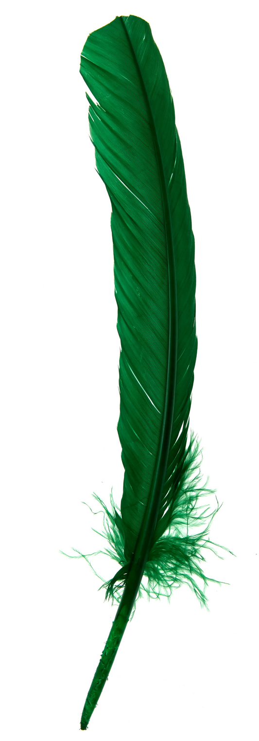 Plumas de ganso 25-30cm verde
