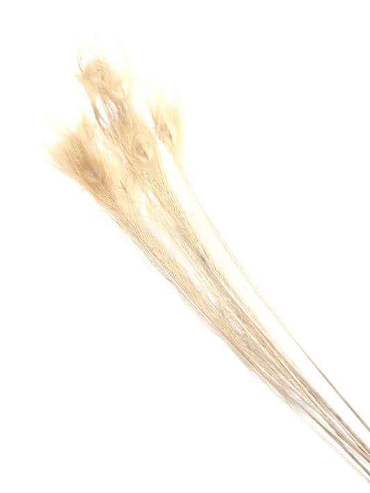 Pavo real ecru 90-100cm