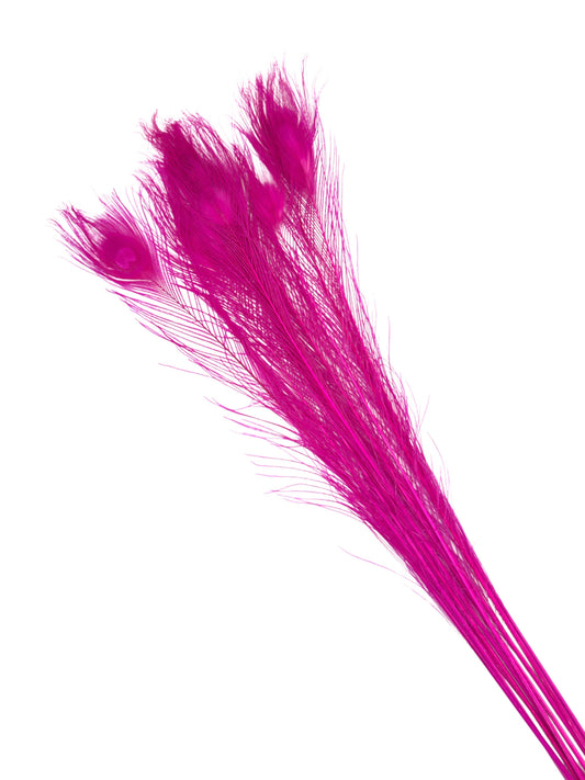Pavo real fucsia 70-80cm