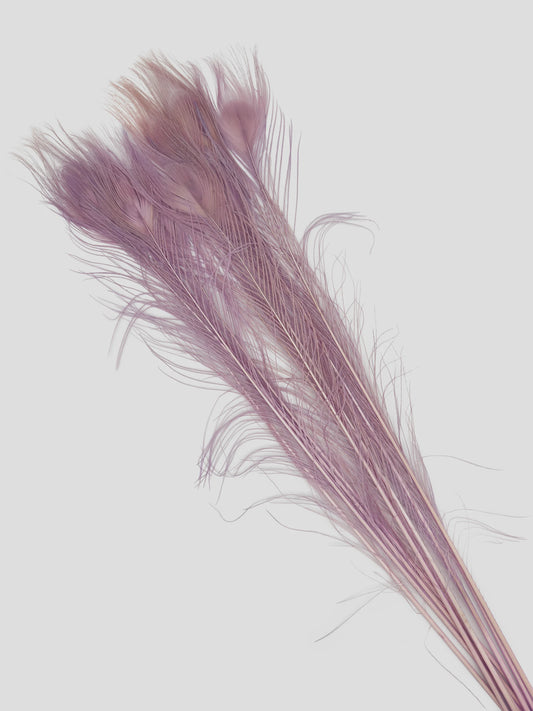Pauwenveer licht lila 70-80cm