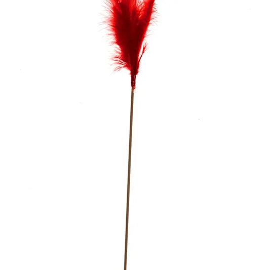 Plumas planas en un palito 50cm rojo