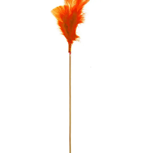 Plumas planas en un palito 50cm naranja