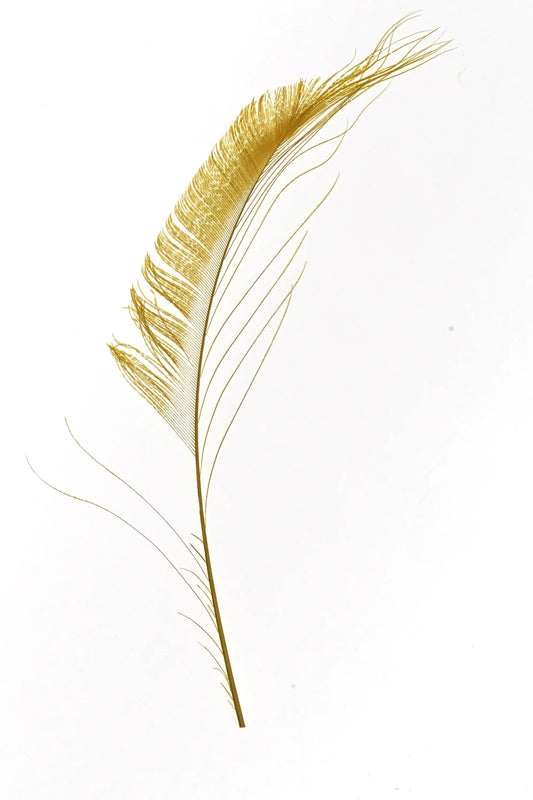 Bordes de pavo real 30-35cm amarillo de Pascua