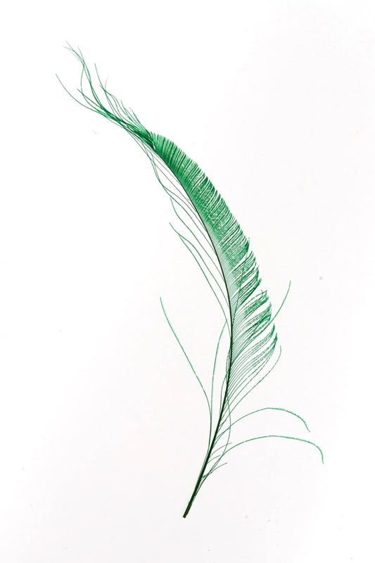 Bordes de pavo real 30-35cm verde