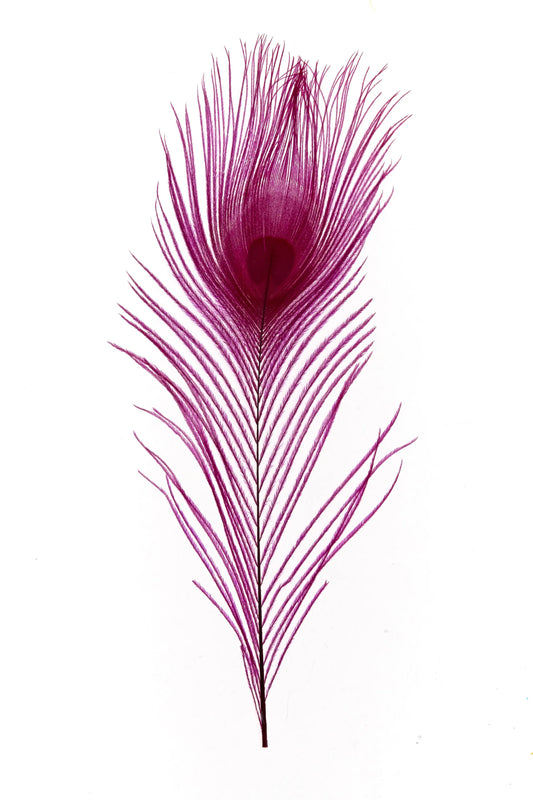 Pavo real 25-30cm fucsia