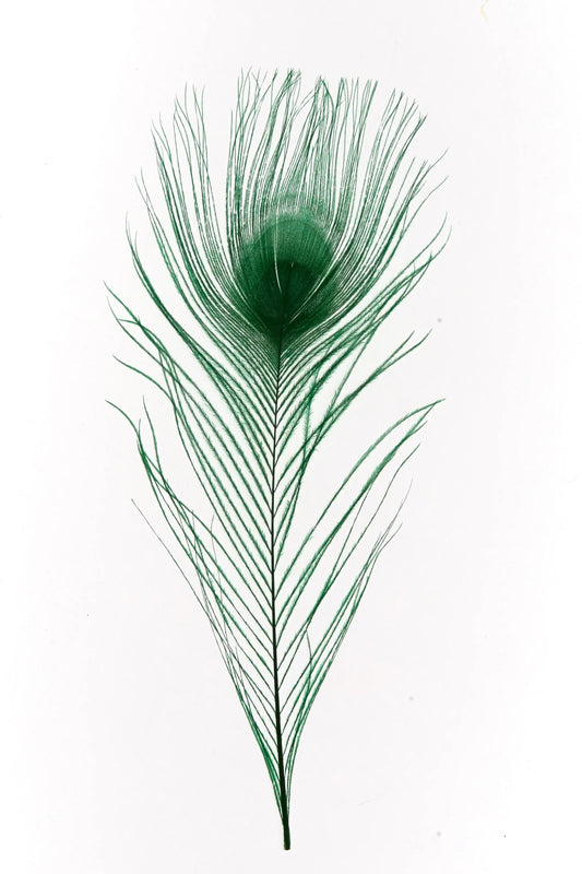 Pavo real 25-30cm verde