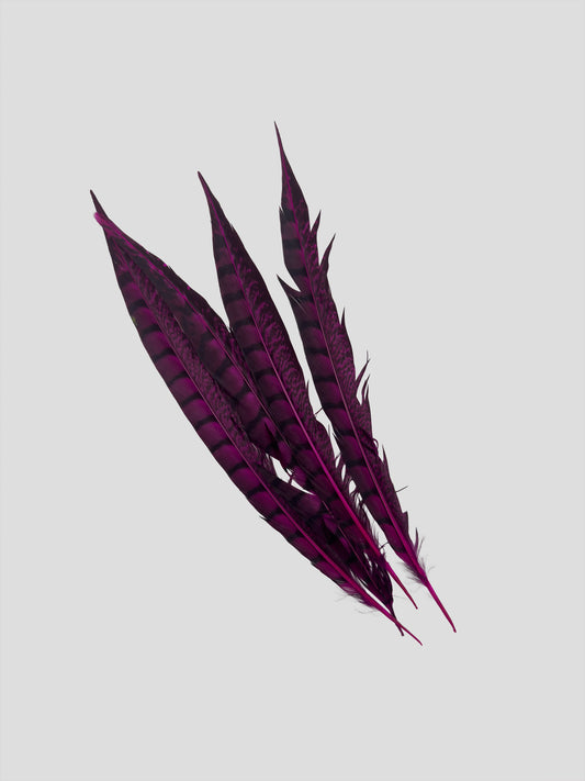 Lady fazant sides 30-35cm fuchsia