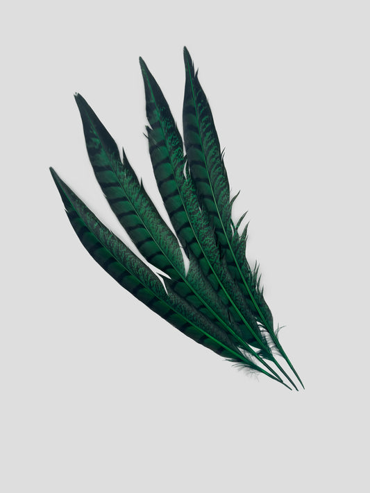 Lady fazant sides 30-35cm groen