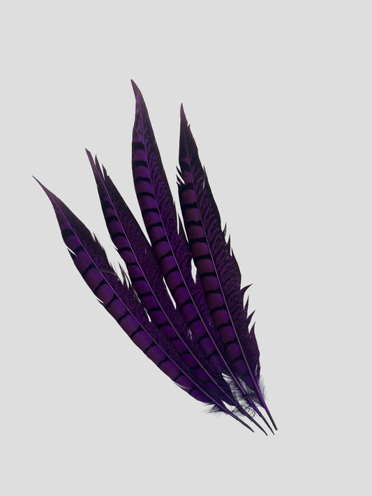 Lady fazant sides 30-35cm paars