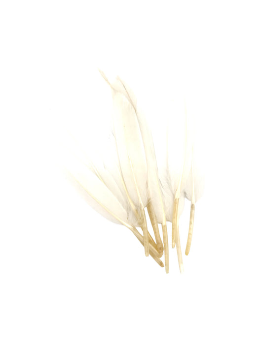 Plumas de ganso 11-12cm blancas