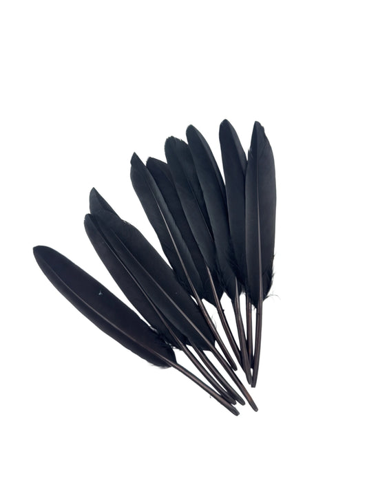 Plumas de ganso 11-12cm negro