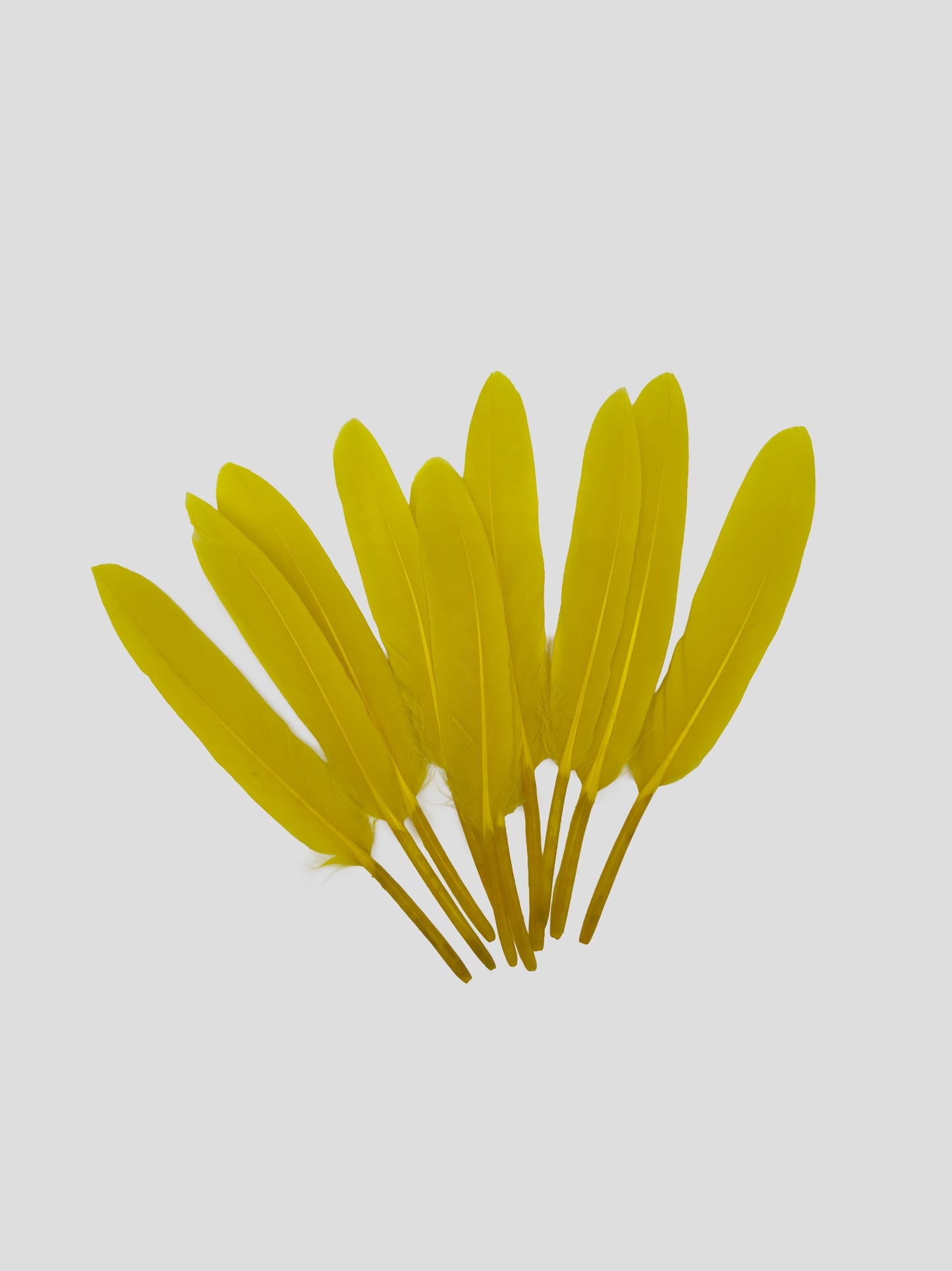 Ganzenveren 11-12cm paasgeel