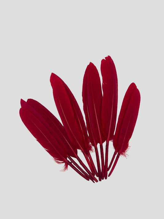 Plumas de ganso 11-12cm rojo tomate