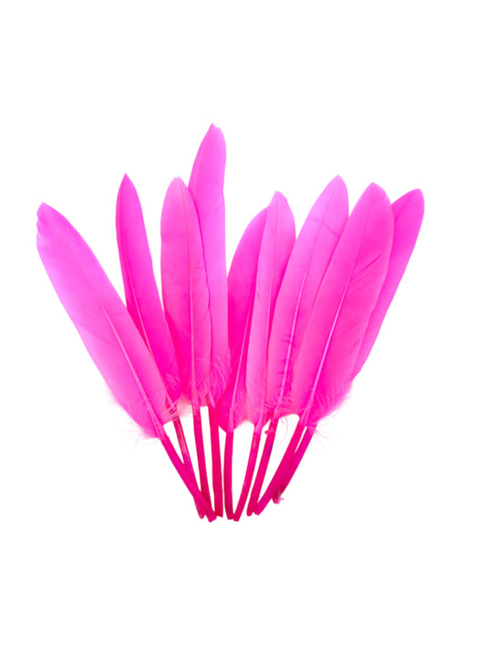 Plumas de ganso 11-12cm rosa completo
