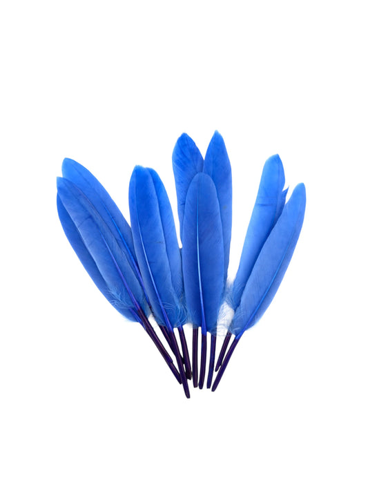 Plumas de ganso 11-12cm azul real