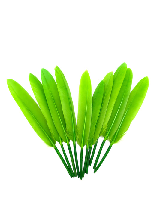 Plumas de ganso 11-12cm verde claro