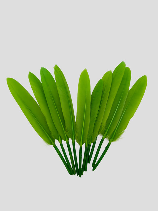 Ganzenveren 11-12cm lichtgroen