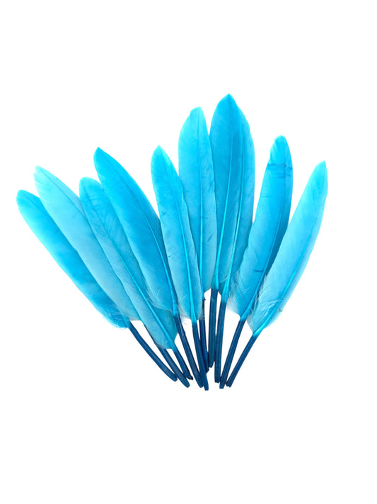 Plumas de ganso 11-12cm turquesa