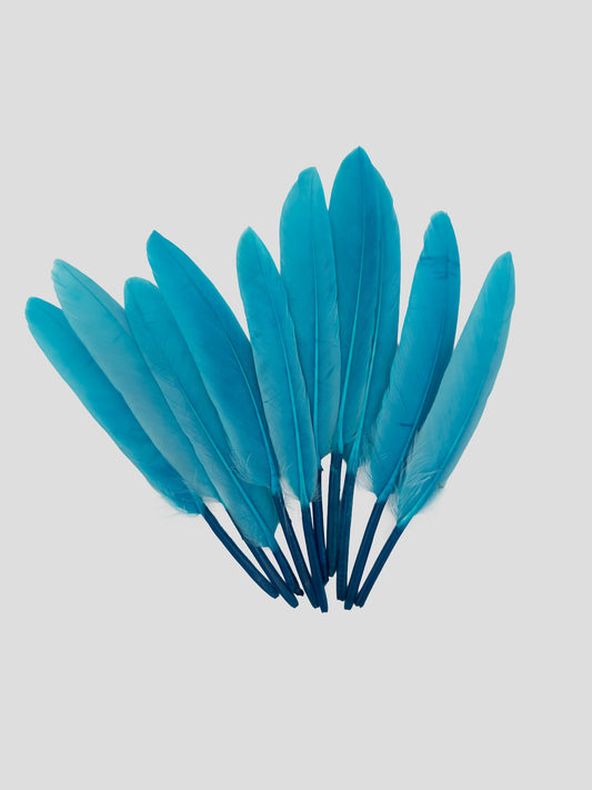 Ganzenveren 11-12cm turkoois