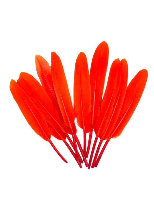 Plumas de ganso 11-12cm naranja