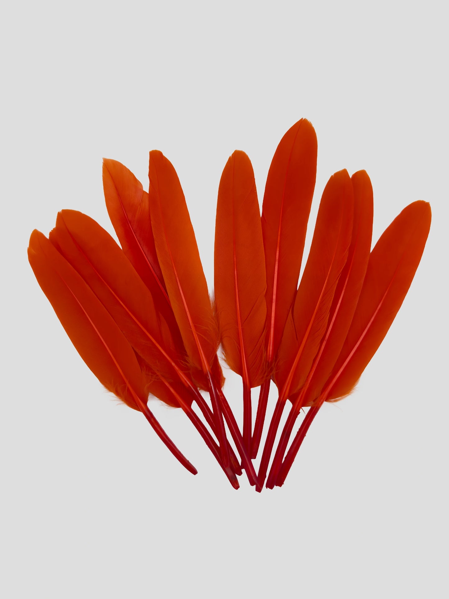 Ganzenveren 11-12cm oranje