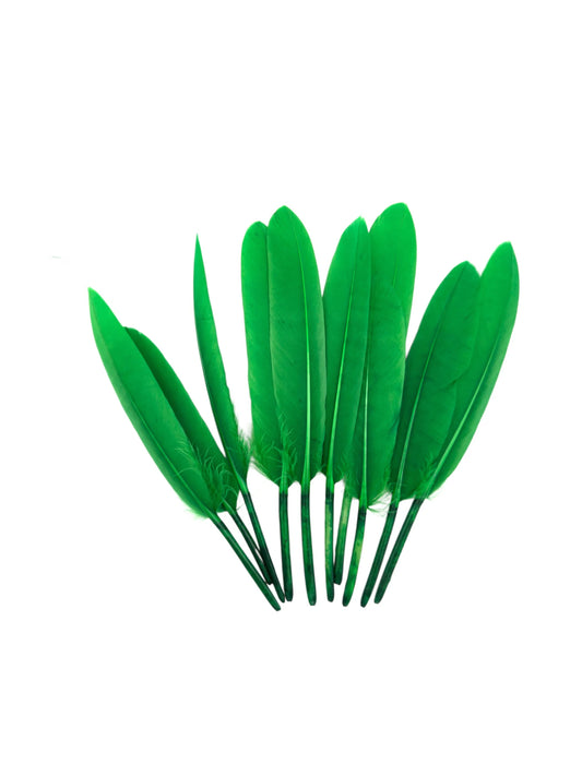 Plumas de ganso 11-12cm verde