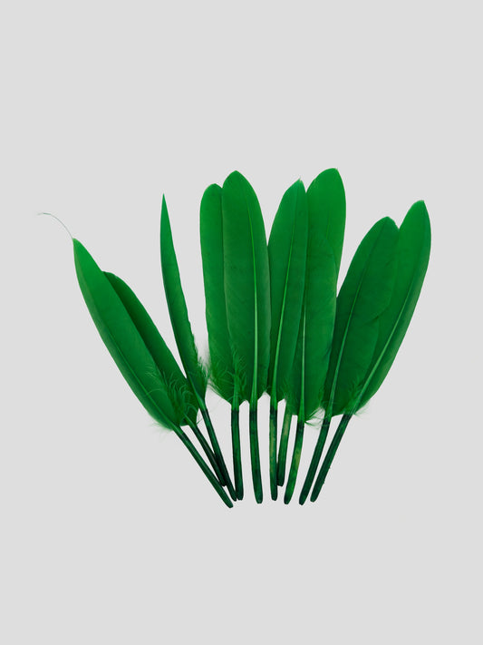 Ganzenveren 11-12cm groen