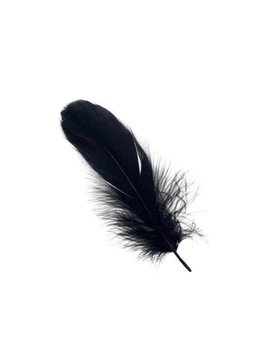 Ganso nagoire 16-20cm negras