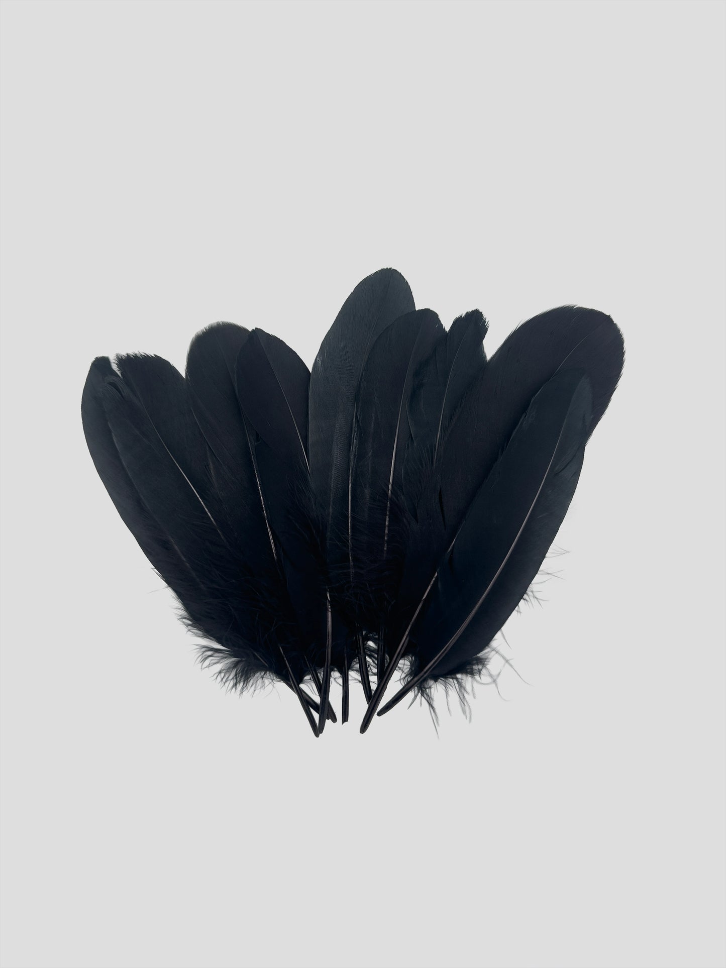 Nageoires 16-20cm zwart