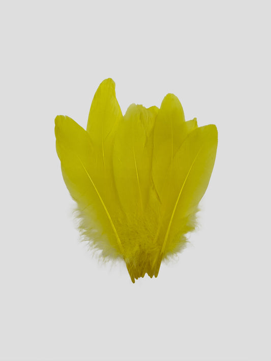 Nageoires 16-20cm paasgeel